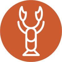 crustaceos