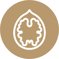 nueces
